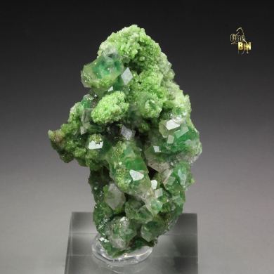 gem GARNET var. GROSSULAR with GREEN CHROMIAN PHANTOMS, DIOPSIDE