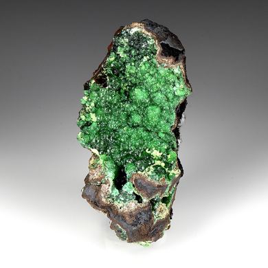 Zincolivenite