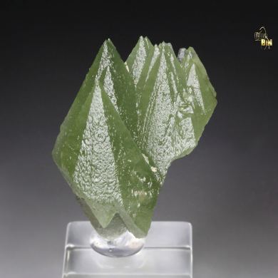 BERYL