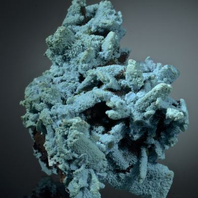 Chrysocolla ps Azurite/ Malachite