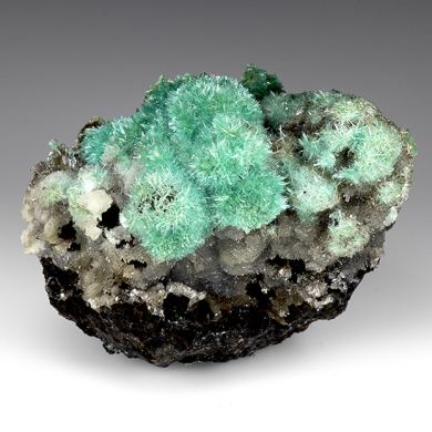 Aurichalcite with Hemimorphite