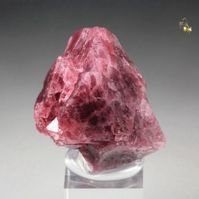 SPINEL