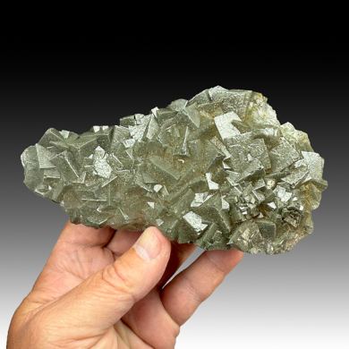 Fluorite with Marcasite