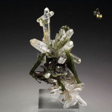 QUARTZ, EPIDOTE