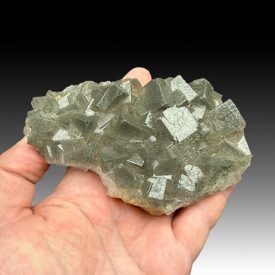 Fluorite with Marcasite