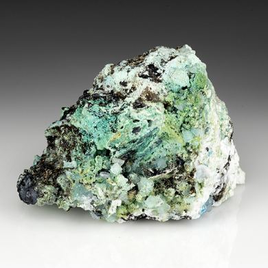 Guanacoite