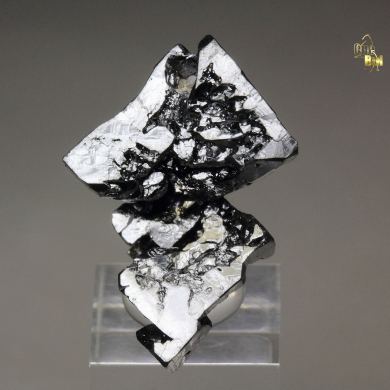 skeletal ACANTHITE