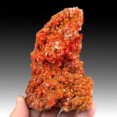 Wulfenite
