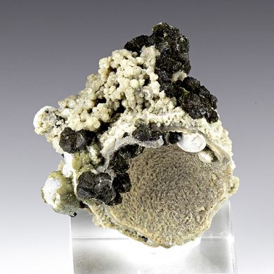 Berthierine