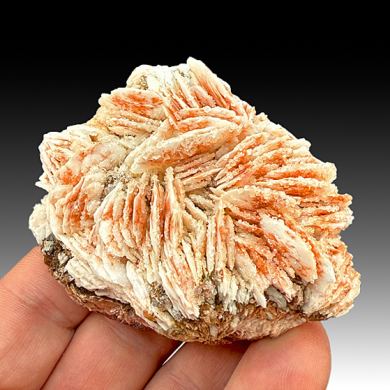 Barite with Calcite (1500)