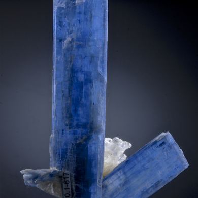 Kyanite on Quartz