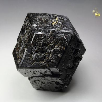 GARNET var. ANDRADITE var. MELANITE - floater