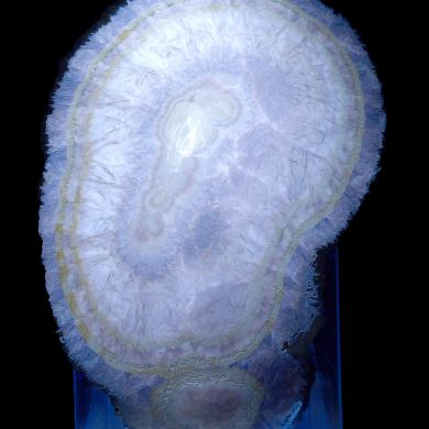 Baryte, marcasite