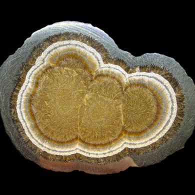 Baryte, marcasite