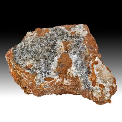 Scholzite