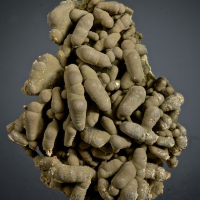 Mottramite covering Wulfenite
