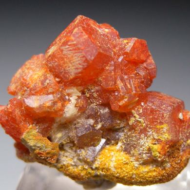 Coquimbite with Halotrichite and Copiapite