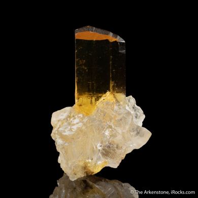 Gypsum (twinned) on Halite
