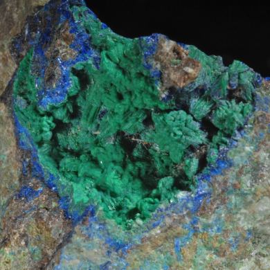 Cornwallite with  Azurite -  classic USA