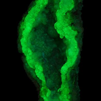 Opal var. Hyalite