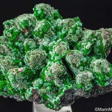 Olivenite, Conichalcite on Goethite after Calcite