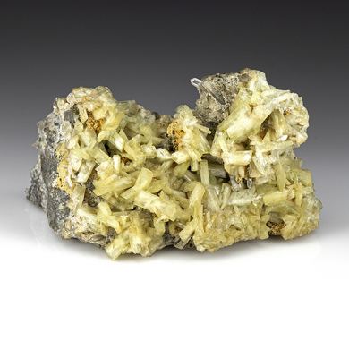 Paravauxite