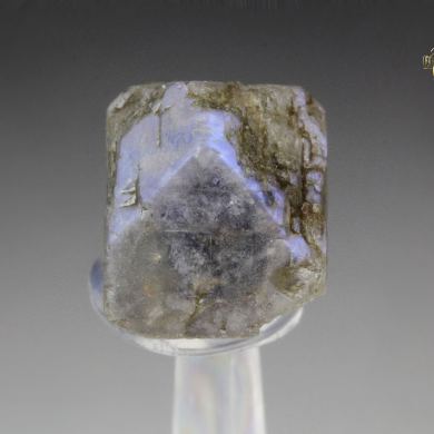 ALBITE var. ANORTHOCLASE