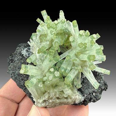 Beryl with Schorl
