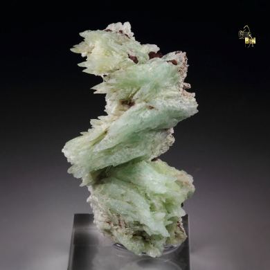 PHOSPHOPHYLLITE twinned