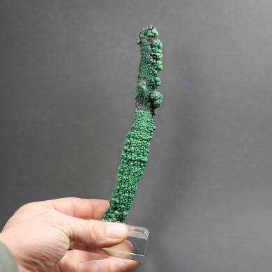 Malachite stalactite – Kasompi Mine, D.R. Congo