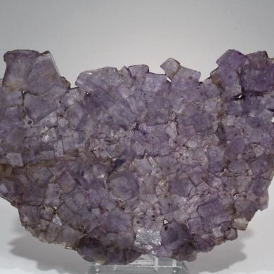 Fluorite with Chalcopyrite