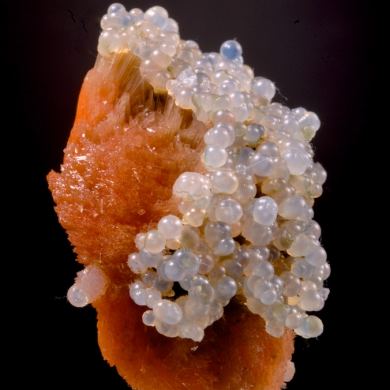 Chalcedony on red Scolecite