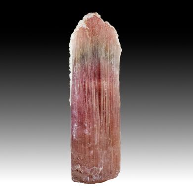 Liddicoatite-Elbaite