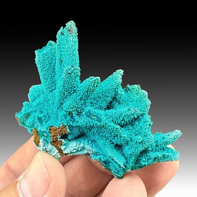 Chrysocolla on Malachite after Azurite