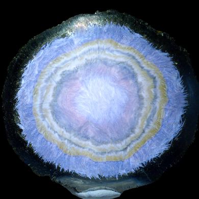 Baryte, marcasite