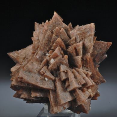 Danalite/ Genthelvite/ Helvite-  Rosette cluster
