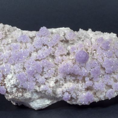 Creedite