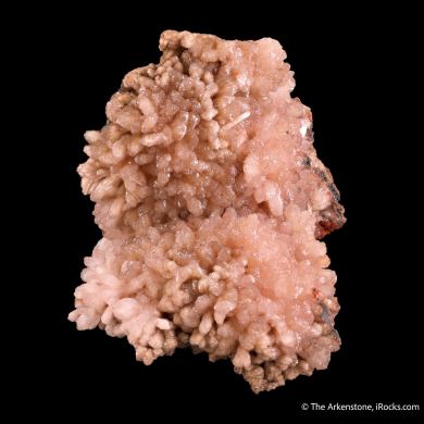 Poldervaartite (Type Locality)