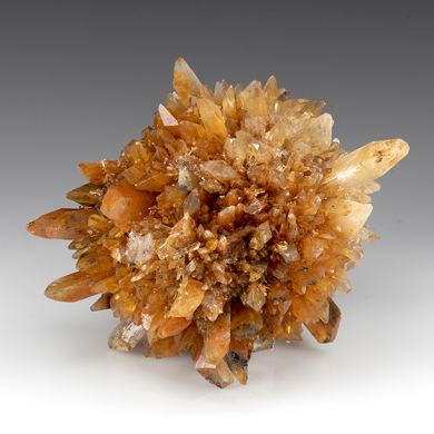 Creedite