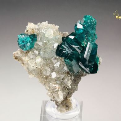 gem DIOPTASE bi-terminated, QUARTZ