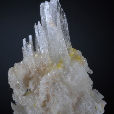 Sklodowskite on Selenite