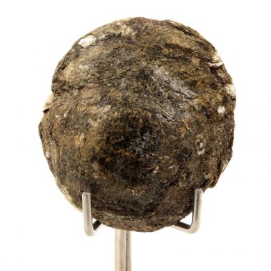 Biotite. 145.5 ct.
