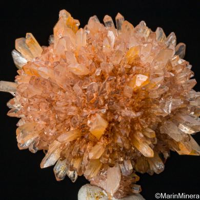 Creedite