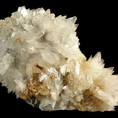 Creedite