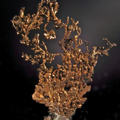 Copper (flattened octahedral crystal tree form)