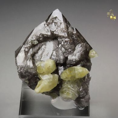 WELOGANITE, QUARTZ var. SMOKY
