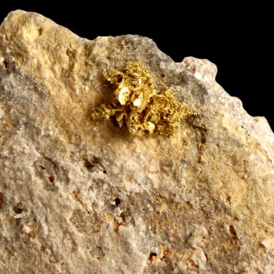 Crystallized Gold