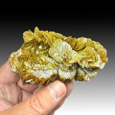 Muscovite