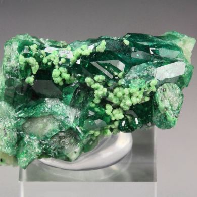 gem VESUVIANITE var. CHROMIAN, DIOPSIDE