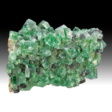 Fluorite with Galena